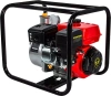 Мотопомпа бензиновая DDE PN81